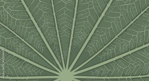 Leaf Vein Texture: An intimate view of intricate leaf veins creating a natural artistic pattern with subtle gradations of tone and hue.