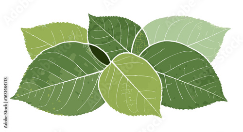 Nature's Embrace: A collection of vibrant, meticulously rendered green leaves intermingle in a testament to natural design, bringing an air of vitality and organic beauty.