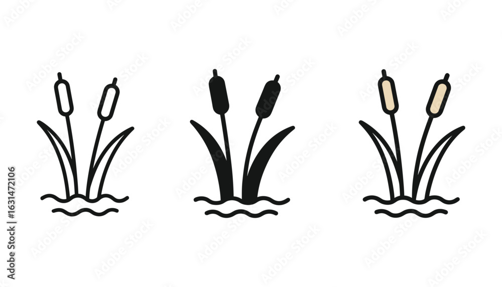 Fototapeta premium Cattail Icon Set, Reedmace Silhouette, Outline Style, Water Plant, Vector Illustration