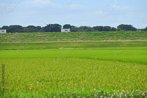 田園風景