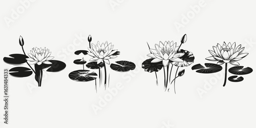 water lily sketch illustration vector set