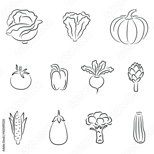 Line Art Vegetable Icons, Cabbage, Lettuce, Pumpkin, Tomato, Pepper, Corn, Broccoli, Zucchini, Beetroot
