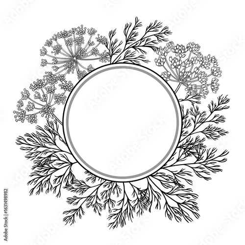 Dill Branch with Flowers and Leaves Outline Round Frame. Organic natural nutritional healthy food ingredient, vegetarian diet product. Vector isolated for design or decoration.
