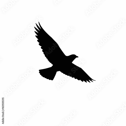 solid black silhouette of a flying bird with wings spread, minimal clean vector style white background