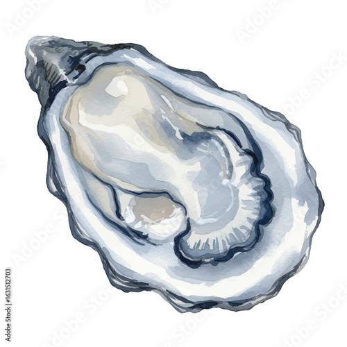 Watercolor Illustration of a Fresh Open Oyster with Intricate Shell Details and Pearl-like Texture on a White Background