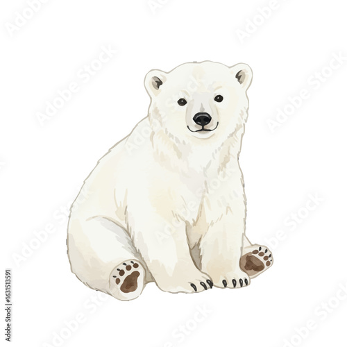 Adorable polar bear cub illustration sitting with a charming expression, showcasing its endearing features and fluffy white fur in a delightful pose