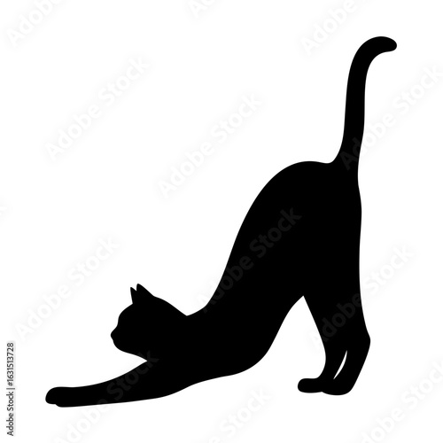 Black cat stretching in silhouette