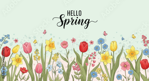 Vector illustration of hello spring banner with colorful tulips, daffodils, bluebells and butterflies in a garden setting, celebrating the season of renewal and growth