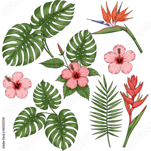 Vibrant tropical botanical collection featuring monstera leaves, hibiscus and bird of paradise flower illustrations