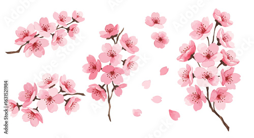 Elegant cherry blossoms illustration with soft pink petals and delicate branches in a floral arrangement