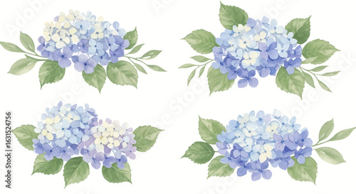 Watercolor hydrangeas floral arrangement featuring pastel blue, violet and white flowers with green leaves, botanical illustrations