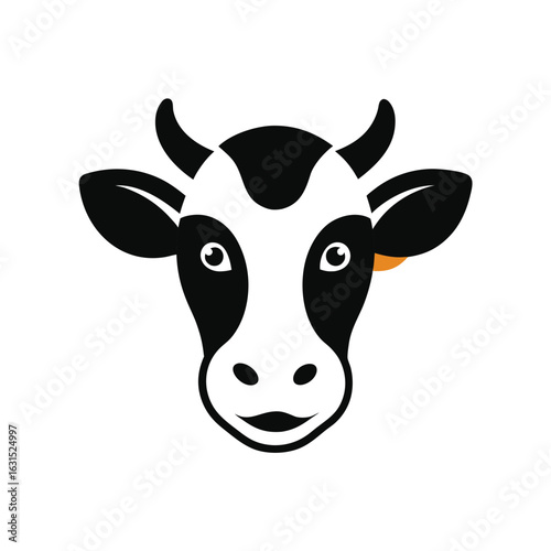 funny cow isolated on white