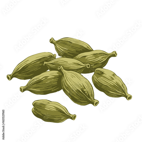 Detailed illustration of green cardamom pods in a group showcasing texture and form for culinary and spice themes, perfect for recipe visuals