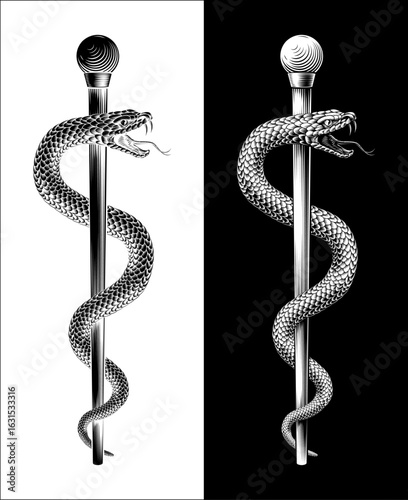 Rod of Asclepius staff medical symbol. Intertwined snake around a rod or wooden staff. Often mistakenly called a Caduceus. Doctor icon for medicine and health care. Vintage woodcut etching style.