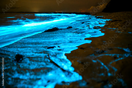 Bioluminescent waves shimmer along the shoreline in New South Wales, Australia, creating a surreal glow in the night.