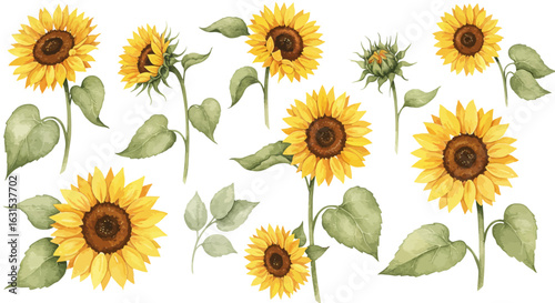 Watercolor sunflowers illustration featuring vibrant yellow petals, brown centers, and lush green leaves, creating a floral design