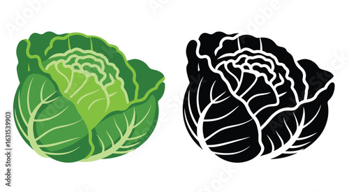 Green cabbage and black silhouette vegetable food