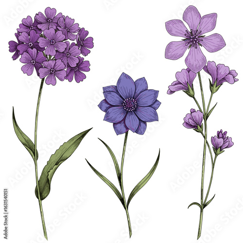 Purple wildflower bouquet illustration showcases botanical elegance and detailed floral artistry in a nature inspired design