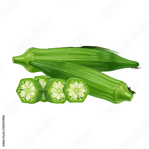 Fresh green okra pods and sliced okra pieces showcasing their unique texture and seeds, vibrant and detailed vegetable illustration on a white background