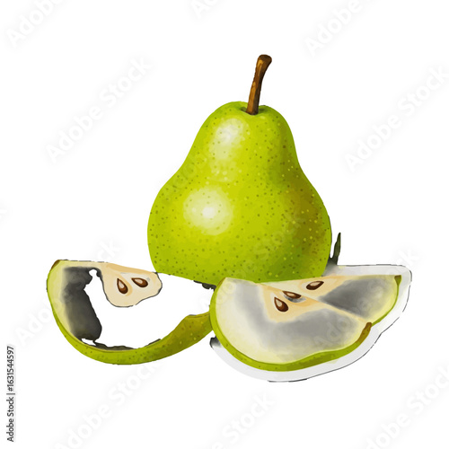 Fresh green pear with stem and two slices showcasing seeds, a vibrant illustration of a summer fruit still life on white