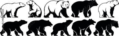 Silhouettes of polar bear and grizzly bear, wildlife vector illustration, animal graphics, nature icons, black and white design, Adobe Stock ready