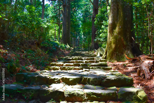 熊野古道大門坂　熊野古道　大門坂　古道　石畳　熊野　那智勝浦町　和歌山県　関西　近畿　