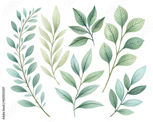 Watercolor Green Leaves Botanical Elements Design