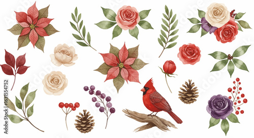 Watercolor illustration features a red cardinal perched on a branch surrounded by poinsettias and roses for winter holiday season