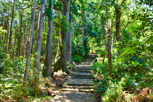熊野古道大門坂　熊野古道　大門坂　古道　石畳　熊野　世界遺産　那智勝浦町　和歌山県　関西　近畿　