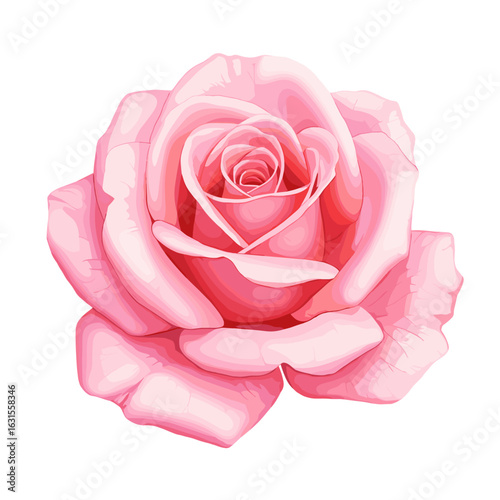 Elegant light pink rose illustration with detailed petals and soft shading against a clean white background