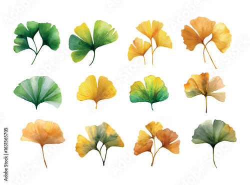 Watercolor set of autumn Ginkgo biloba leaves. Ginkgo leaves on transparent background. Watercolor autumn leaves. Autumn background with yellow leaves and ginkgo branches. Vector illustration.