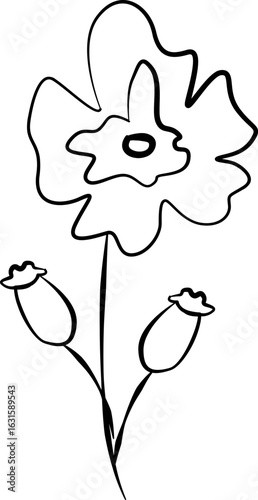 hand drawn vector illustration of a flower