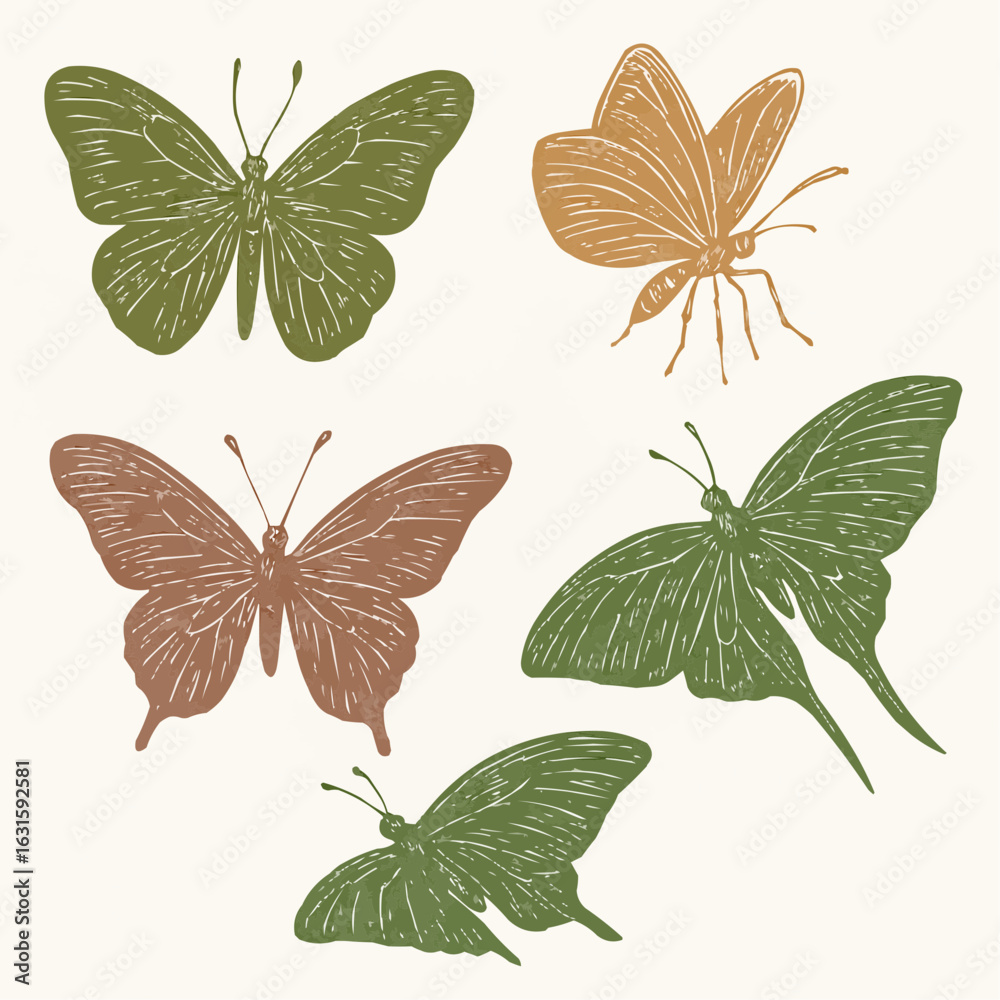 Obraz premium set of butterflies isolated on white