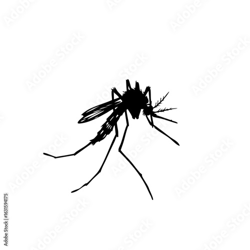 Vector image effect showing mosquito, representing Image FX, with transparent background. This Image FX illustrates mosquito's presence, a symbol of summertime annoyance.