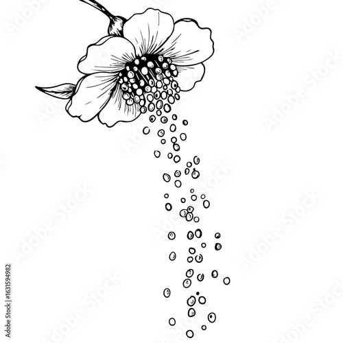 Flower effects illustration showing a single blossom with ImageFX, blossom releasing a trail of liquid spheres, black and white. ImageFX transforms ordinary images into visually interesting content.