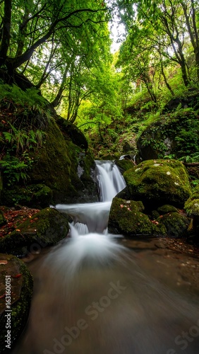 Lush waterfall cascading through mossy rocks