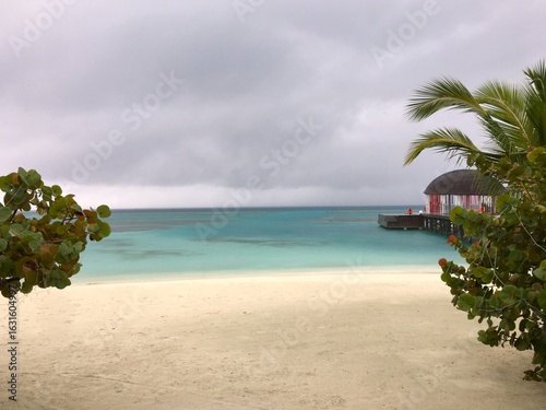 Tropical beach with palm trees in the Maldives. 