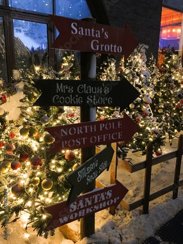 Christmas tree in the park