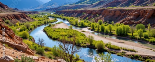 Wallpaper Mural changes in surface water flow from mining cause drying of wetlands and rivers impacting dependent plant and animal species. Torontodigital.ca