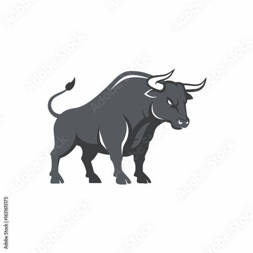 Majestic bull with muscular build, isolated on white shows animal in strong pose. Sturdy bull, a symbol of power and determination, adds dramatic impact, especially animal in strong pose.