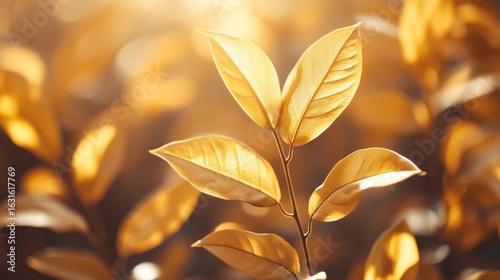 Wallpaper Mural Golden leaves illuminated by gentle sunlight, creating a tranquil nature scene Torontodigital.ca