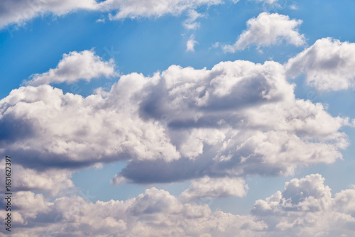 Canvastavla Altocumulus snow-white clouds against a bright blue sky create an effect of serenity and freedom