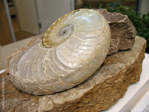 chert with a conchoidal fracture