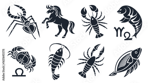 Collection of zodiac signs, astrological symbols representing horoscope constellations and celestial elements isolated on white background
