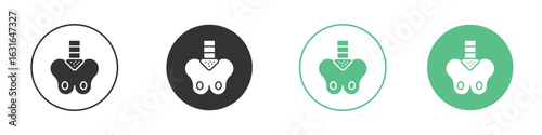 Pelvis icon