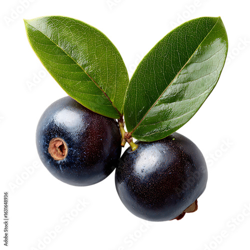 Amazon acai fruit with leaf png
