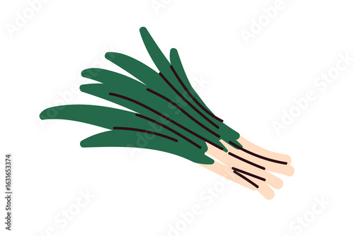 Green spring onions. Fresh scallion, healthy spicy sibies. Aromatic vegetable stalks, bulbs. Vitamin food, natural spice, condiment, seasoning. Flat vector illustration isolated on white background