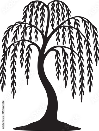 A silhouette of a willow tree with hanging branches, elegant shape, black on white