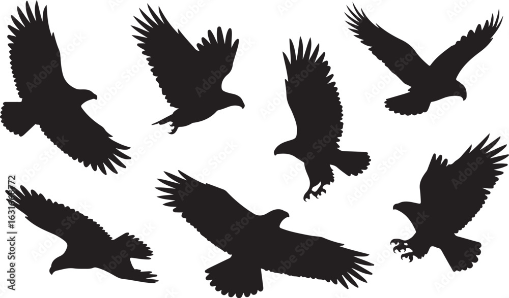 Obraz premium Collection of flying eagle silhouettes. Set of vector icons showing a bird of prey in flight, hunting, and soaring poses.