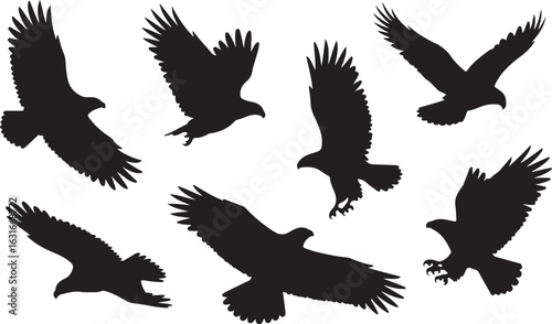 Collection of flying eagle silhouettes. Set of vector icons showing a bird of prey in flight, hunting, and soaring poses.